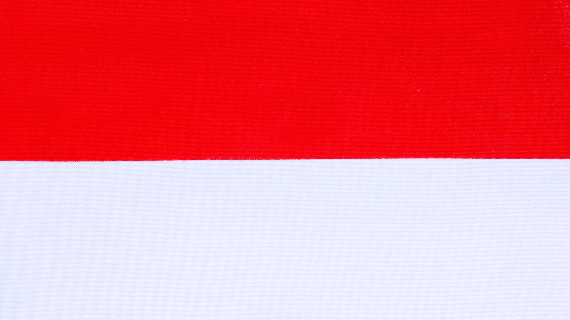 Description of the image